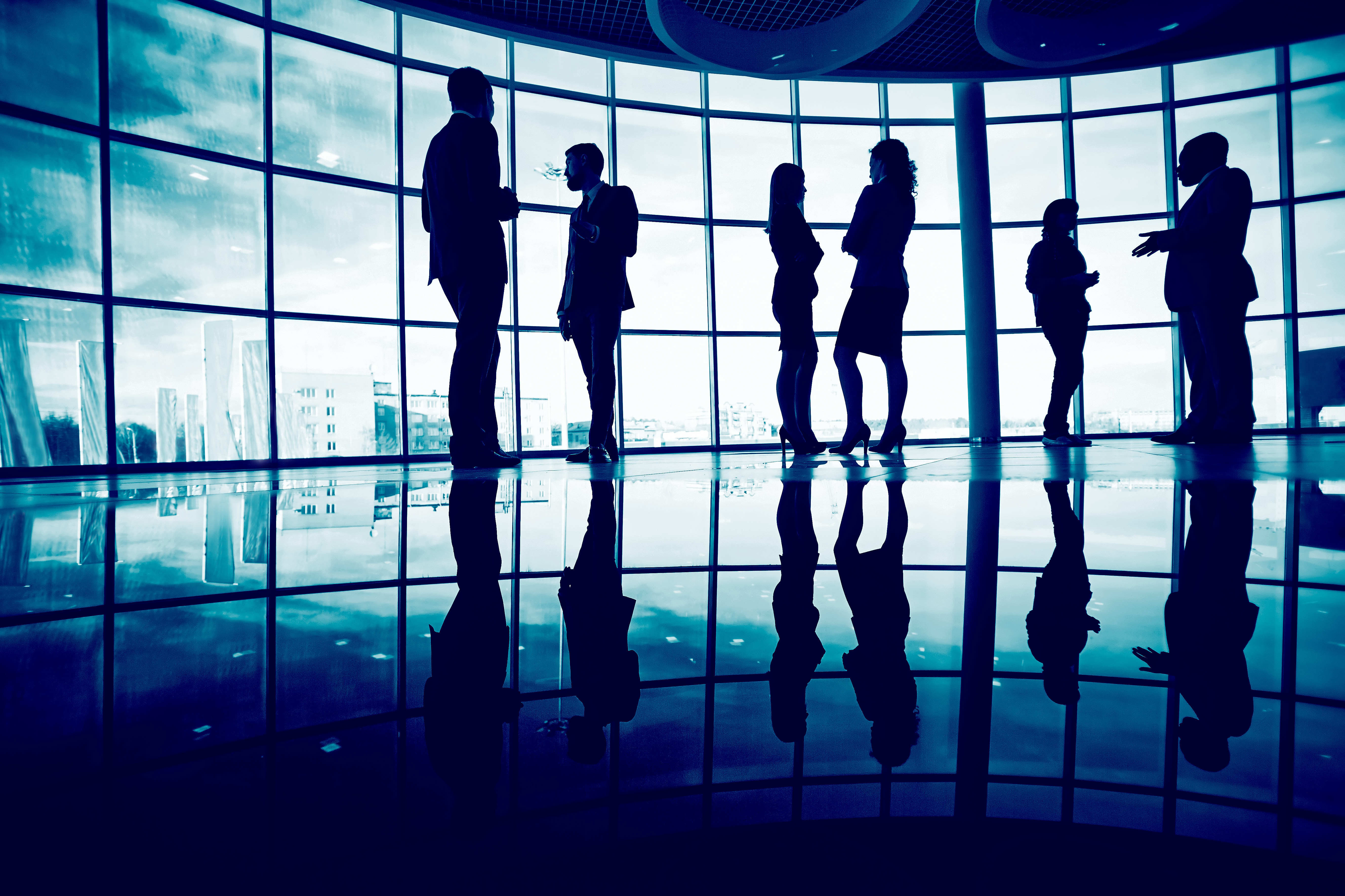 Company team and operations